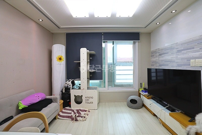 경기도 안산시 상록구 월피동 빌라(투룸 이상) 사진 1