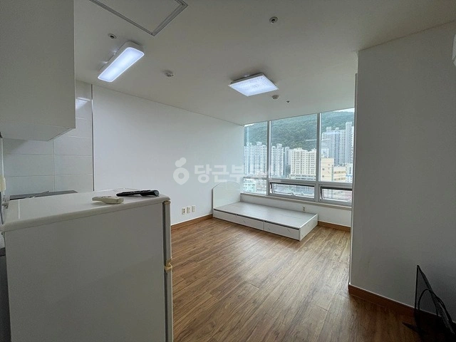 부산광역시 사하구 당리동 오피스텔 사진 1