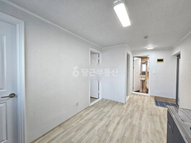 대전광역시 서구 갈마동 빌라(투룸 이상) 사진 1