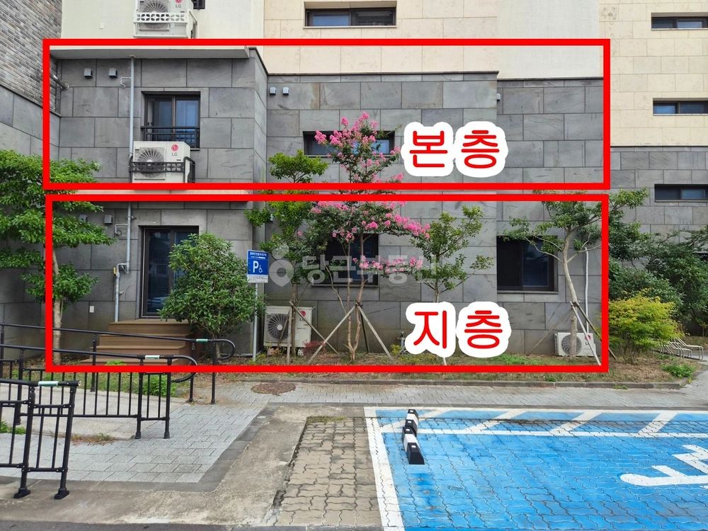제주특별자치도 제주시 노형동 빌라(투룸 이상) 사진 1