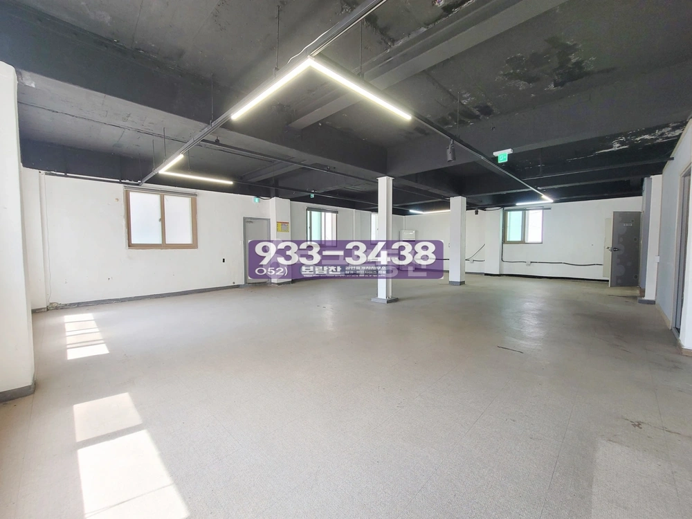 울산광역시 남구 신정동 상가 사진 1