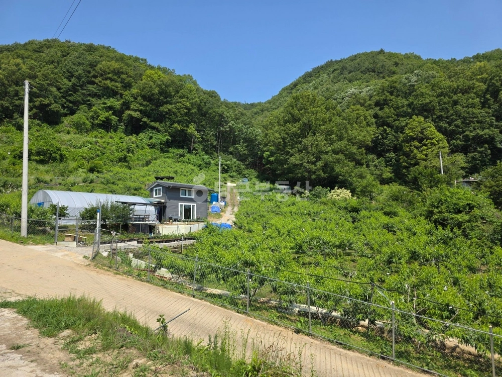 대전광역시 중구 금동 토지 사진 1