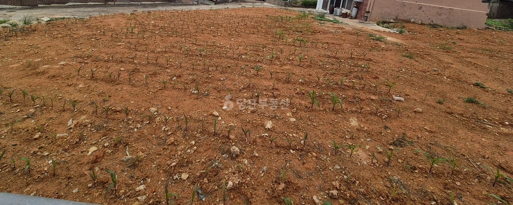 전남광주통합특별시 목포시 산정동 토지 사진 1