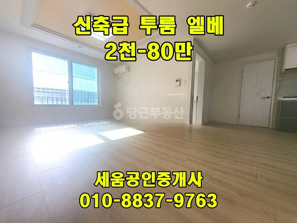 대전광역시 서구 괴정동 빌라(투룸 이상) 사진 1
