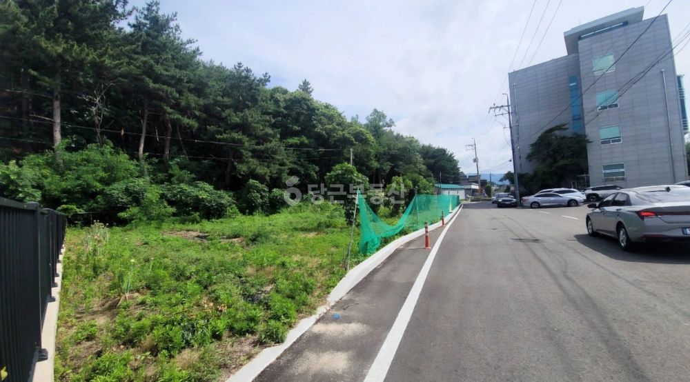 강원특별자치도 강릉시 입암동 토지 사진 1