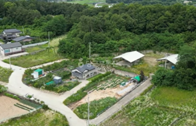 경기도 여주시 대신면 토지 사진 1