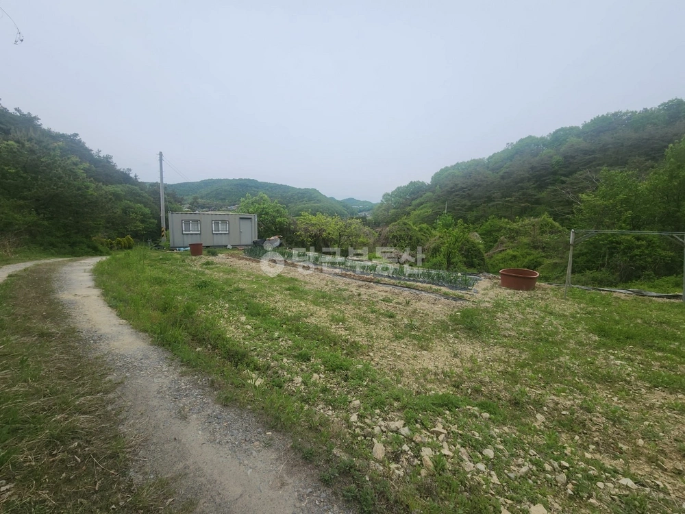 전남광주통합특별시 화순군 동면 토지 사진 1