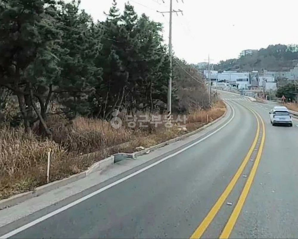 전남광주통합특별시 여수시 돌산읍 토지 사진 1