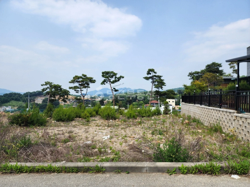 경기도 동두천시 송내동 토지 사진 1