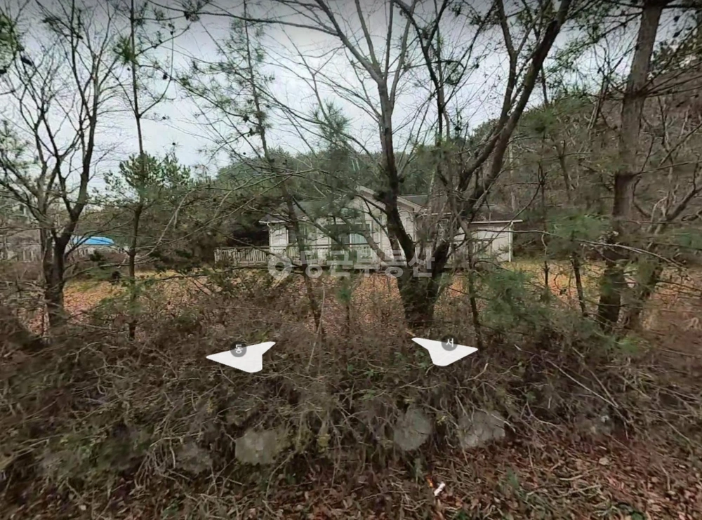 경기도 안산시 단원구 대부남동 토지 사진 1