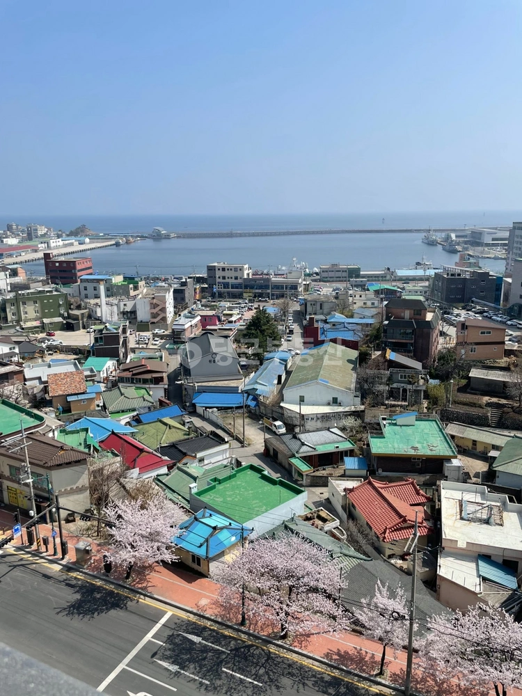 강원특별자치도 속초시 동명동 아파트 사진 1