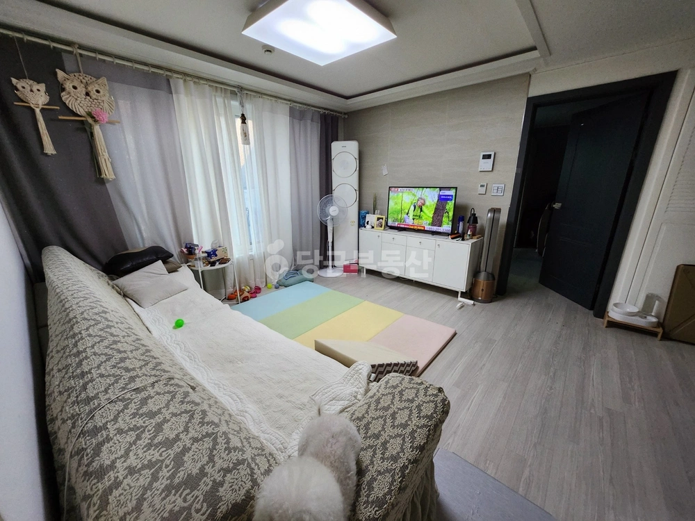 경기도 안산시 상록구 본오동 빌라(투룸 이상) 사진 1