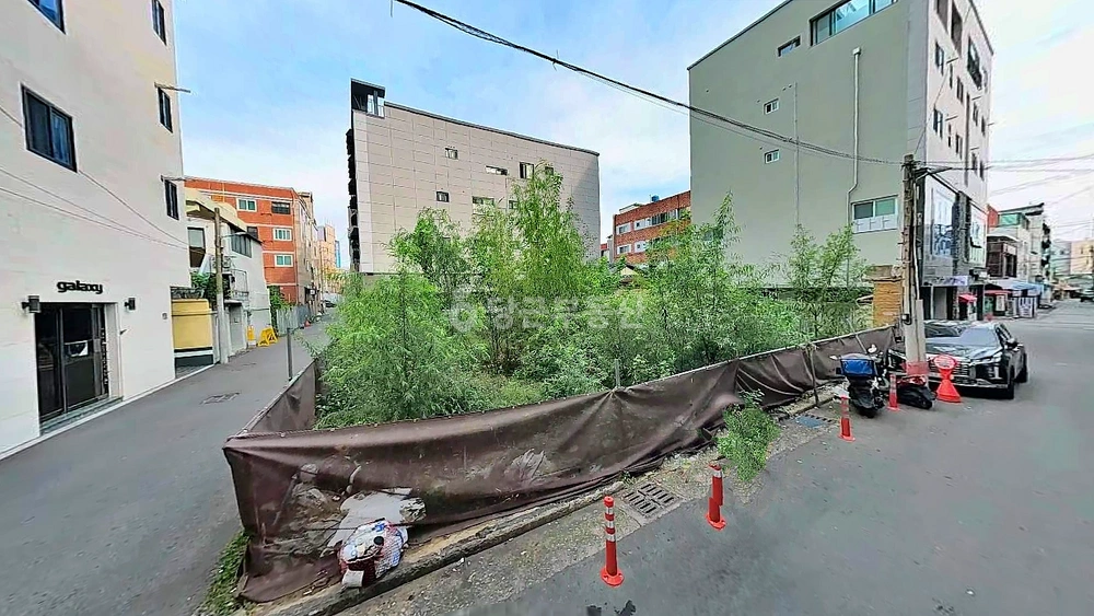 대구광역시 남구 대명동 토지 사진 1