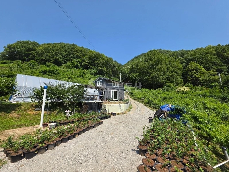 대전광역시 중구 금동 토지 사진 1