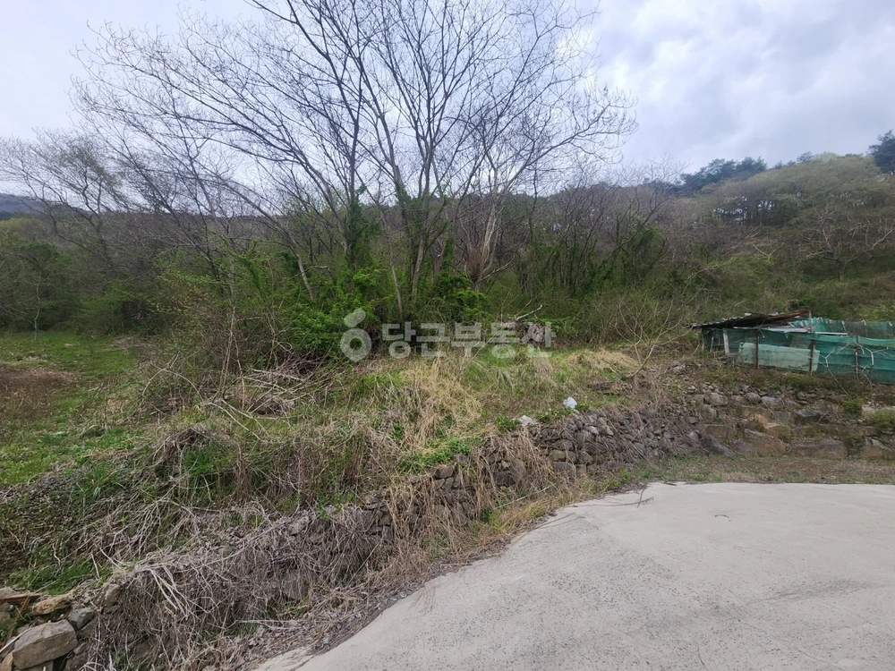 전남광주통합특별시 화순군 동면 토지 사진 1