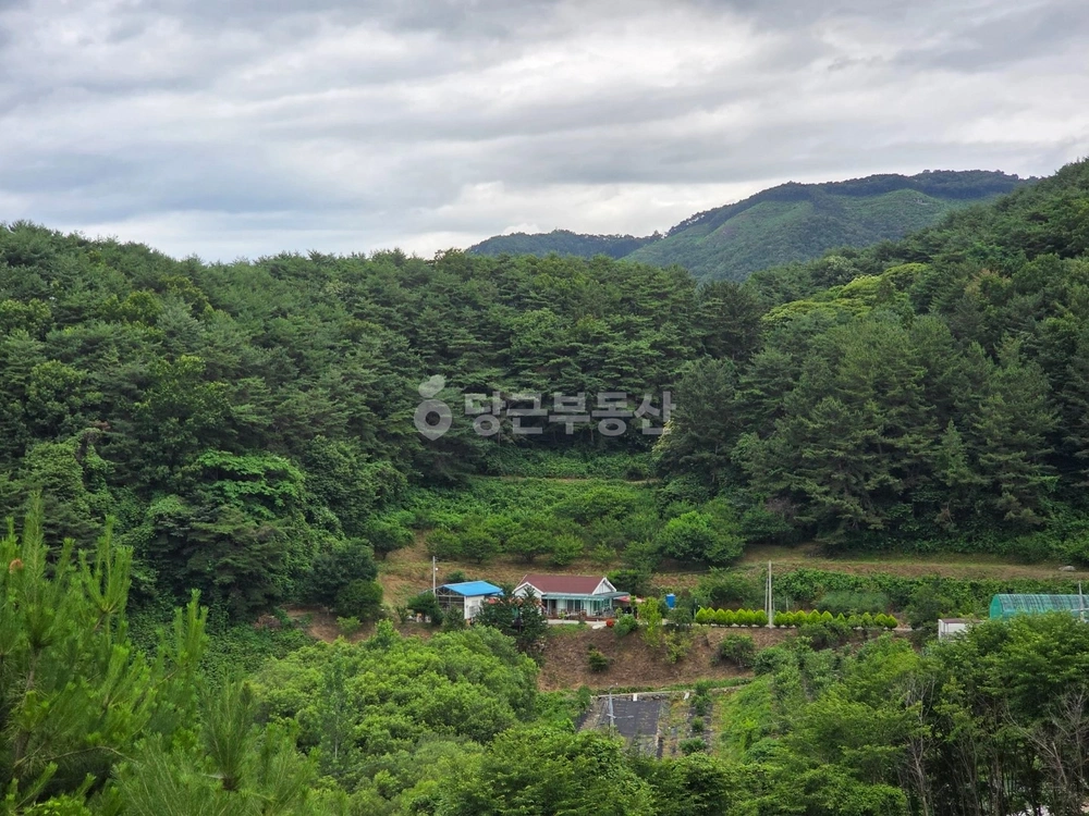 경상남도 하동군 횡천면 단독/전원주택 사진 1