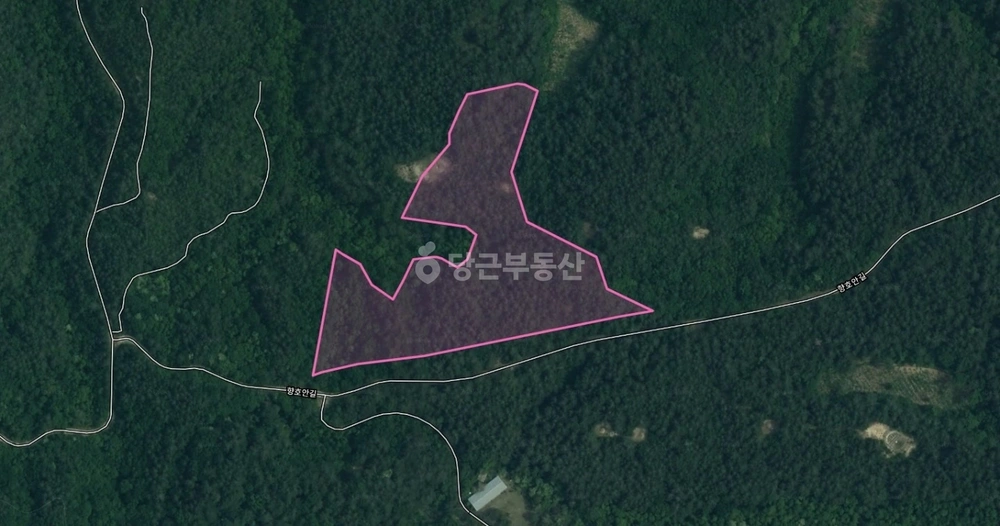 강원특별자치도 강릉시 주문진읍 토지 사진 1