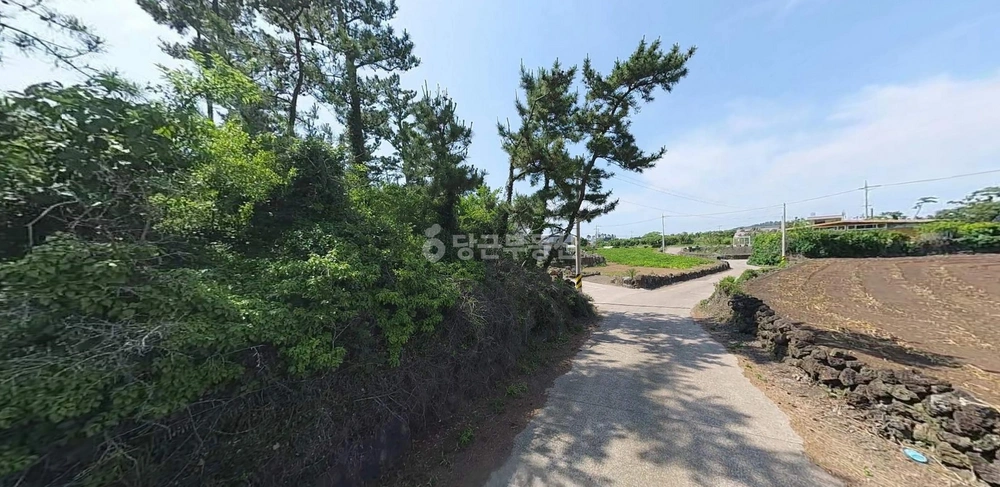 제주특별자치도 제주시 한경면 토지 사진 1