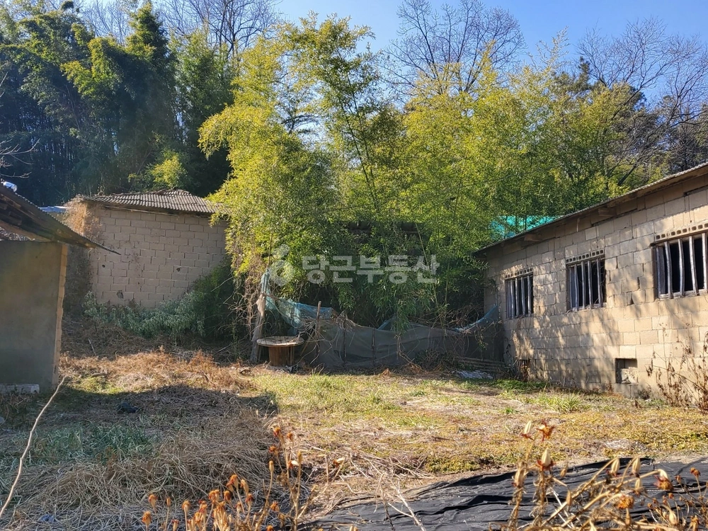 경상남도 창녕군 장마면 토지 사진 1