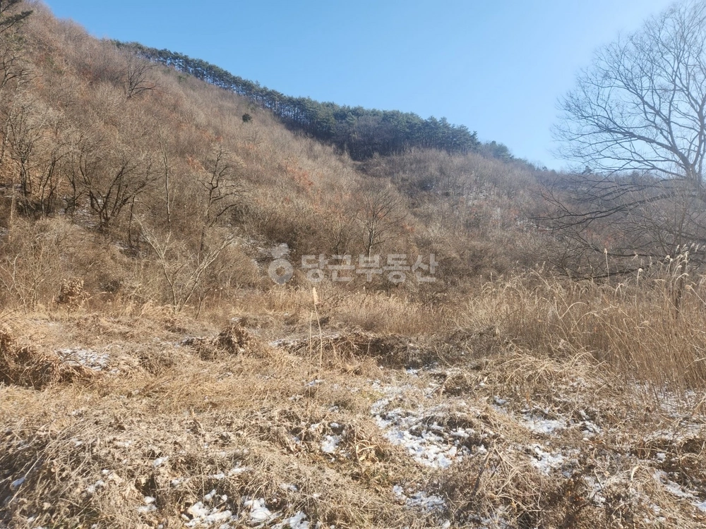 전남광주통합특별시 화순군 백아면 토지 사진 1