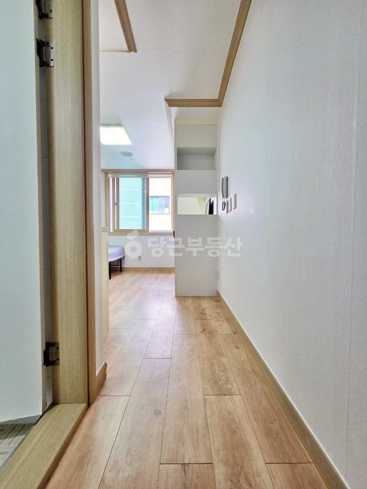 대전광역시 서구 둔산동 원룸 사진 1