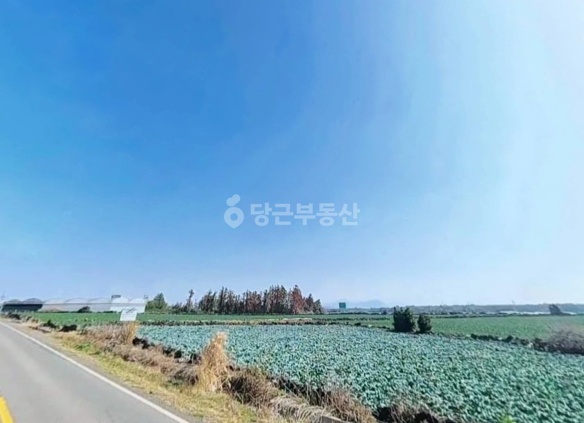 제주특별자치도 서귀포시 대정읍 토지 사진 1