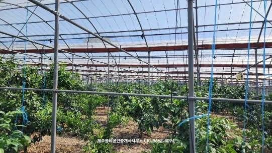 제주특별자치도 서귀포시 표선면 토지 사진 1