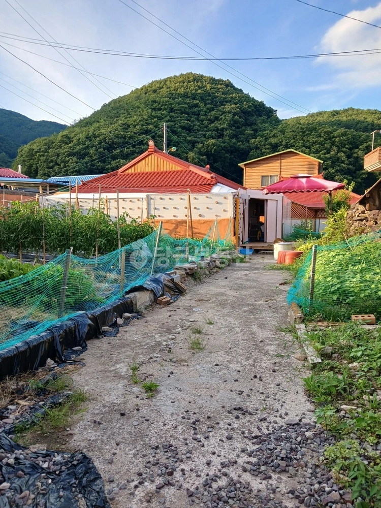 경상남도 의령군 궁류면 단독/전원주택 사진 1