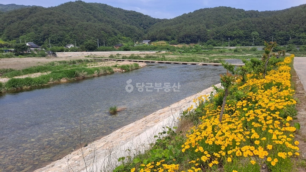 강원특별자치도 양양군 서면 토지 사진 1