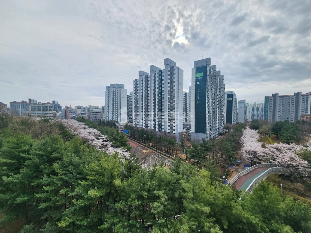 경기도 시흥시 대야동 아파트 사진 1