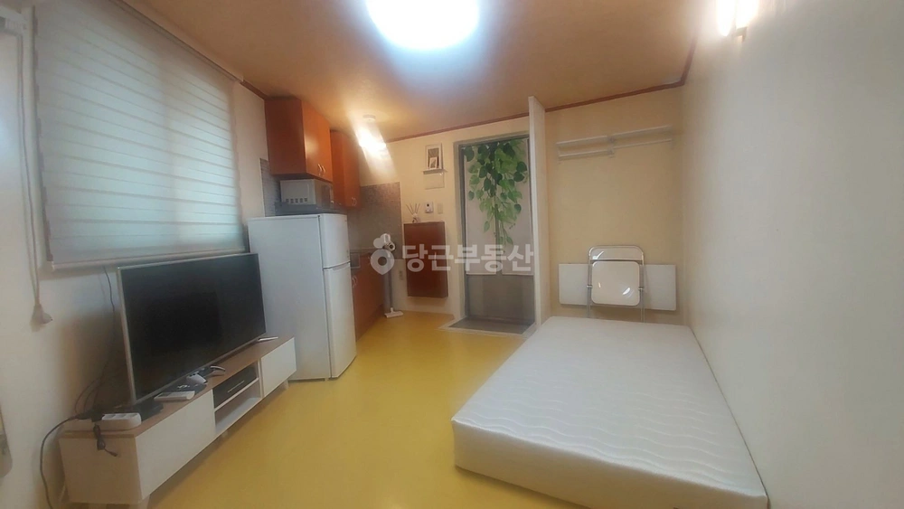 강원특별자치도 강릉시 홍제동 원룸 사진 1