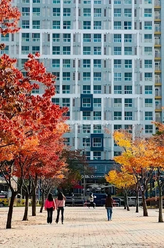 서울특별시 금천구 가산동 공장/창고 사진 1