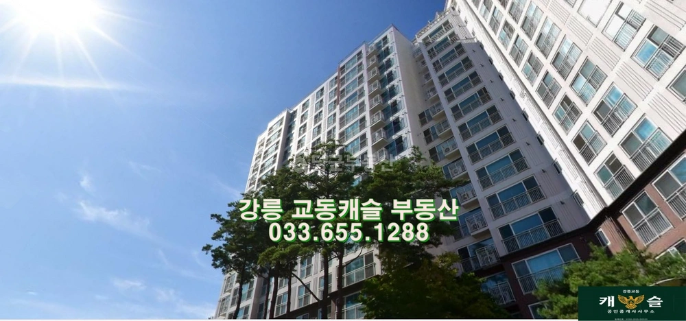강원특별자치도 강릉시 교동 아파트 사진 1