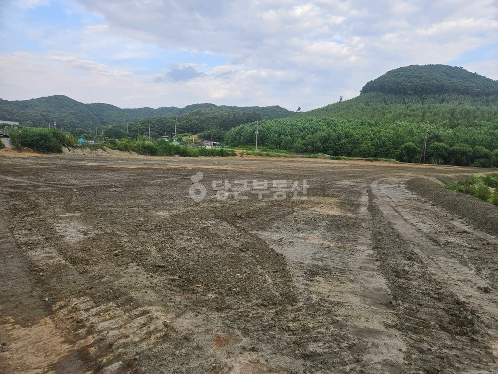 경기도 파주시 파주읍 토지 사진 1