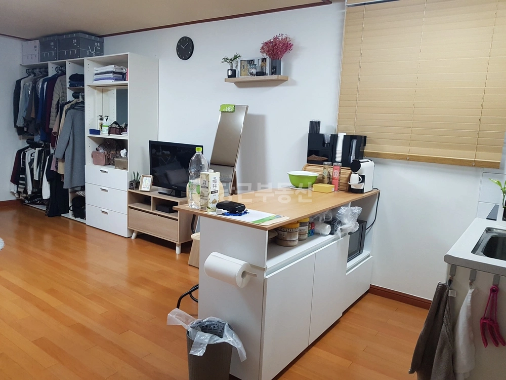 서울특별시 강남구 도곡동 원룸 사진 1