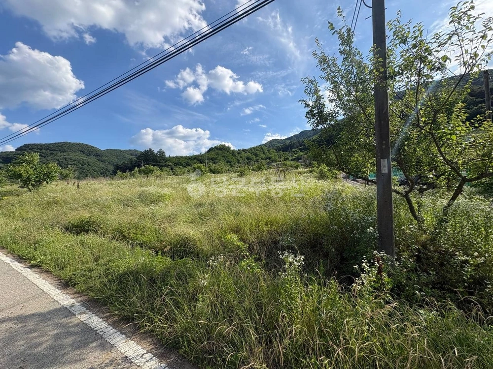 충청북도 충주시 수안보면 토지 사진 1