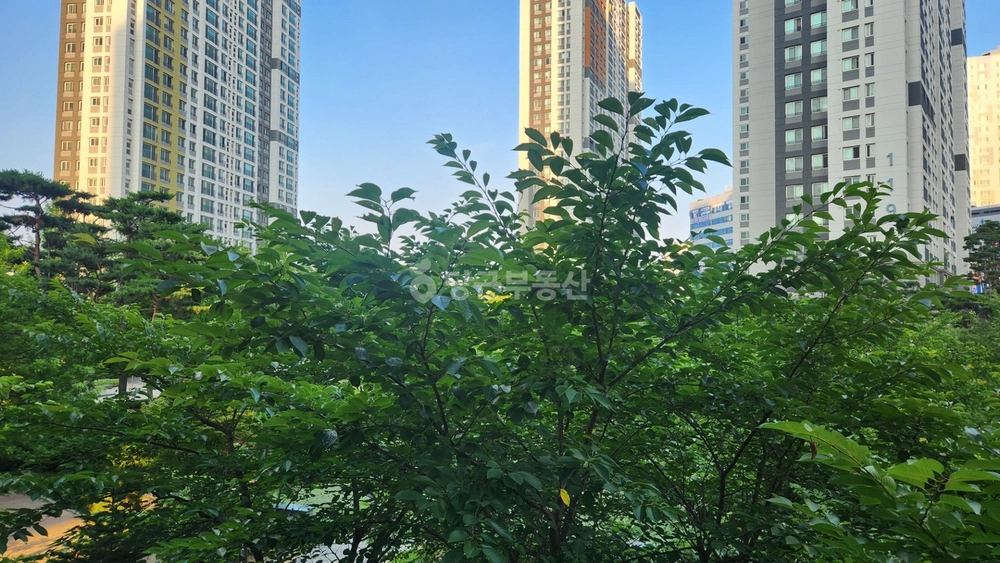 인천광역시 미추홀구 용현동 아파트 사진 1