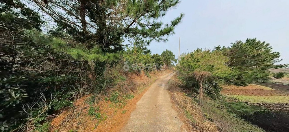 제주특별자치도 제주시 구좌읍 토지 사진 1