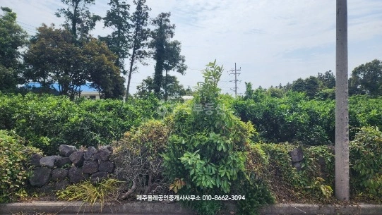 제주특별자치도 서귀포시 표선면 토지 사진 1