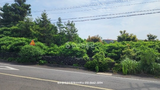 제주특별자치도 서귀포시 표선면 토지 사진 1