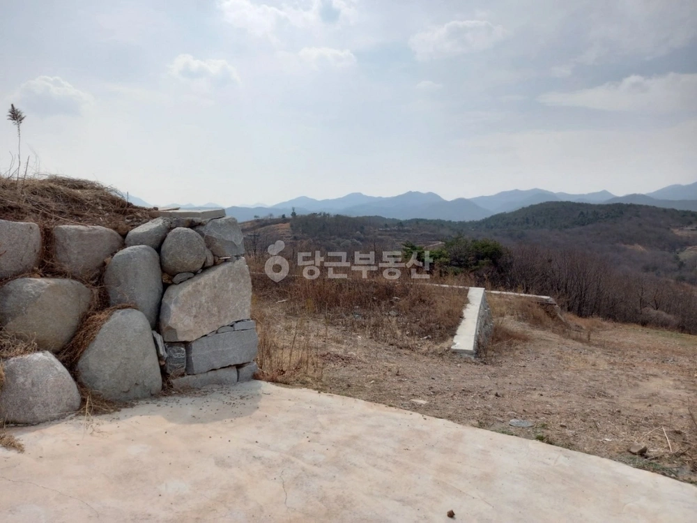 울산광역시 울주군 서생면 토지 사진 1
