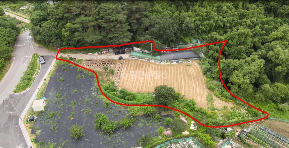대구광역시 달성군 가창면 토지 사진 1