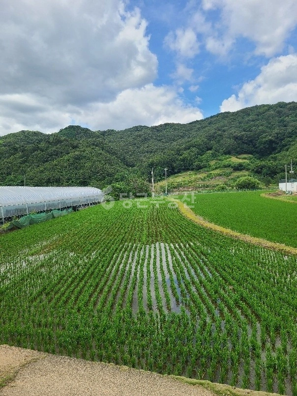 충청북도 청주시 흥덕구 옥산면 토지 사진 1