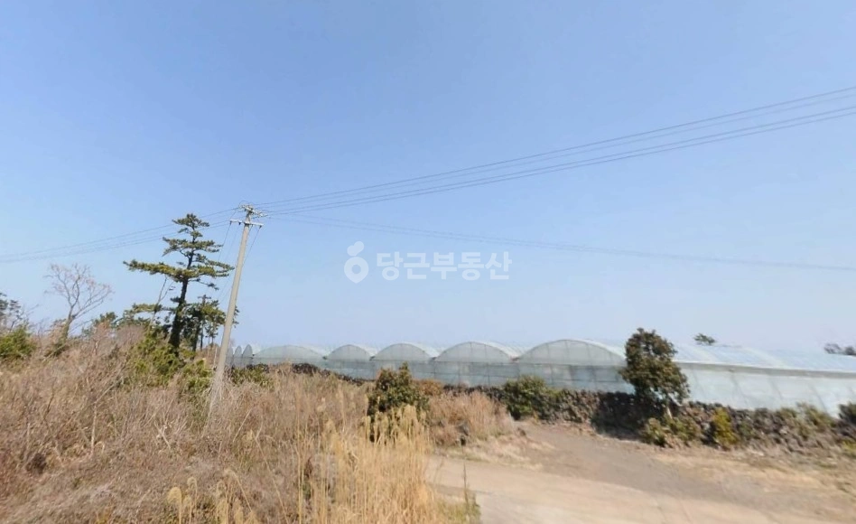 제주특별자치도 제주시 한림읍 토지 사진 1