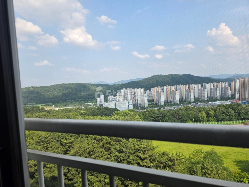 대전광역시 서구 도안동 아파트 사진 1