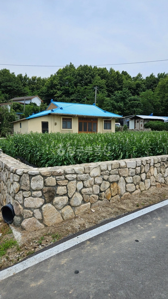 충청북도 증평군 증평읍 단독/전원주택 사진 1