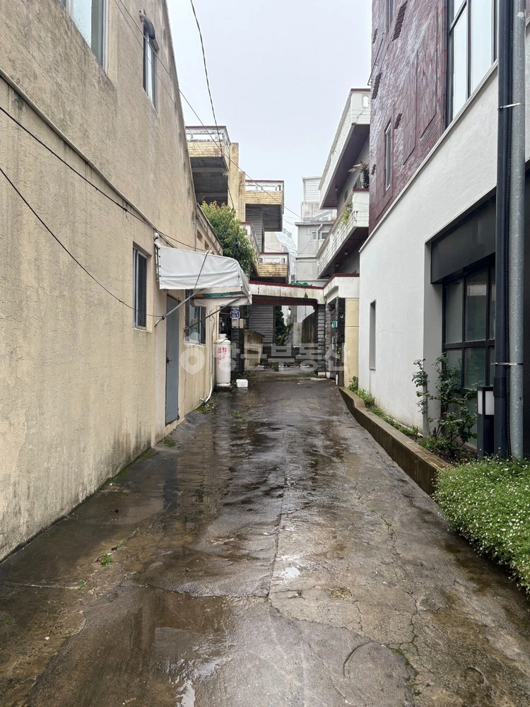 제주특별자치도 서귀포시 서귀동 단독/전원주택 사진 1