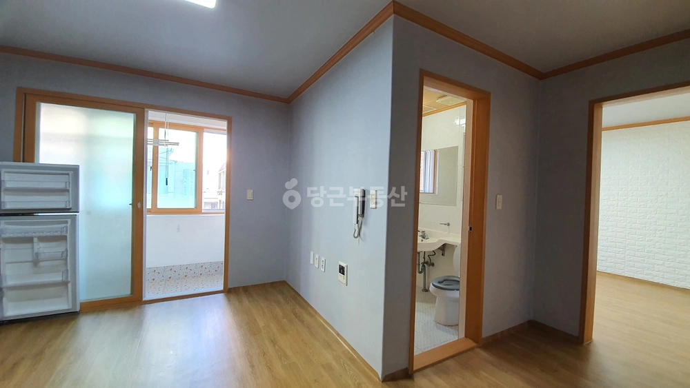 강원특별자치도 강릉시 임당동 원룸 사진 1