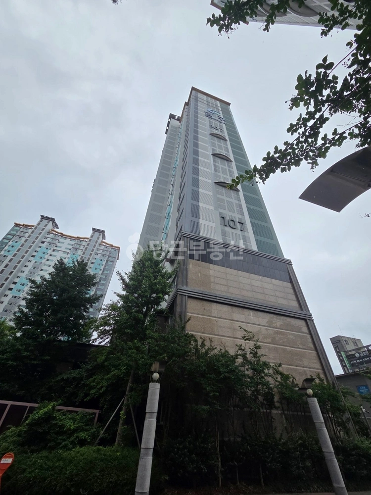 경상북도 포항시 북구 양덕동 아파트 사진 1