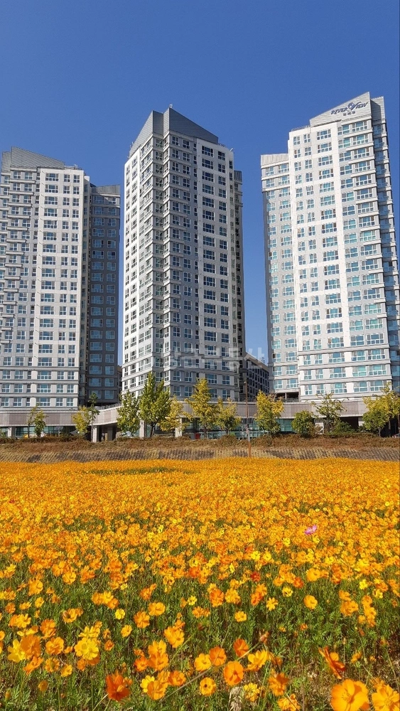 대전광역시 유성구 도룡동 오피스텔 사진 1